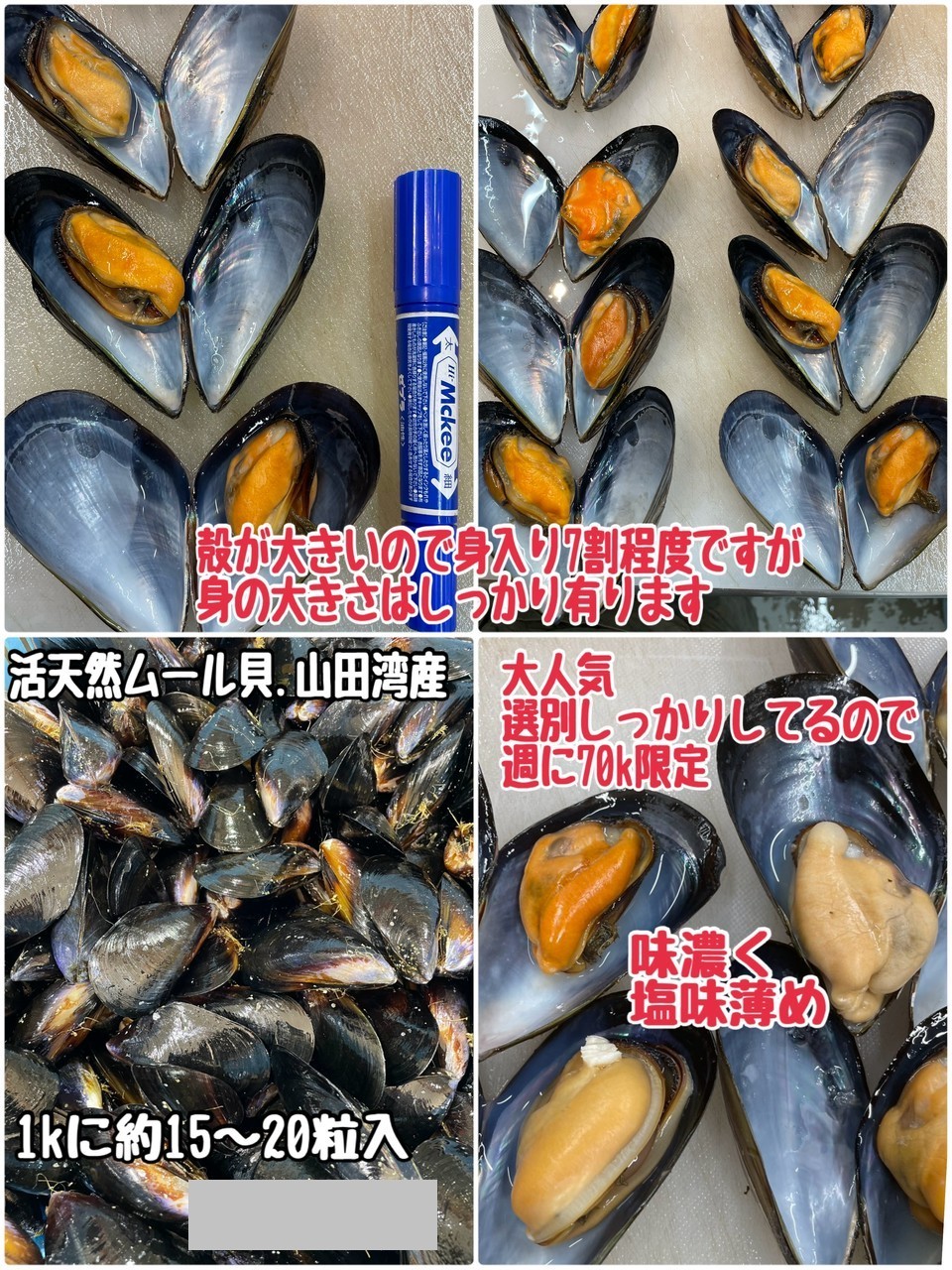 ①活天然ムール貝・岩手県山田湾産・1kに15～20粒前後入