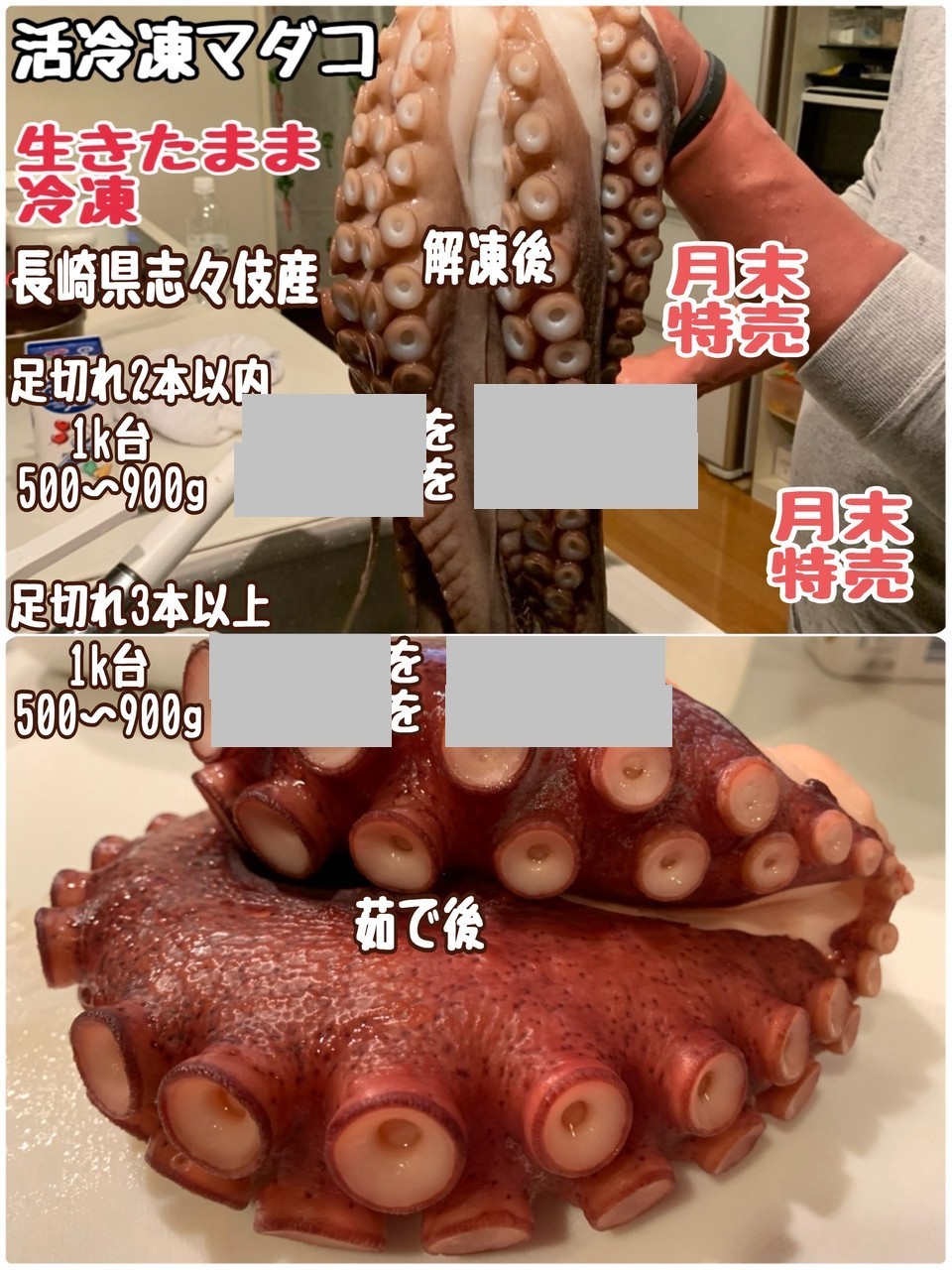 ①活冷凍マダコ・志々伎産・生きたまま冷凍・月末特売・500ｋ限定・足切れ 他3品