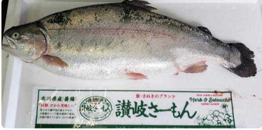 丸亀かない水産