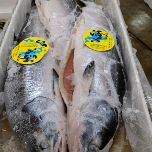 とと札幌 紹介画像1