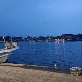 黒部さかなの駅生地
