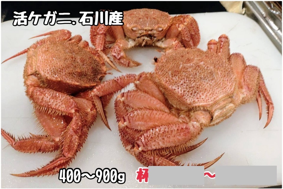 ①活ケガニ・②活ケガニ・③活ケガニ・④活ケガニ 他9品