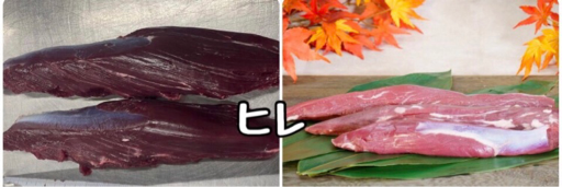 かない稚内 紹介画像1