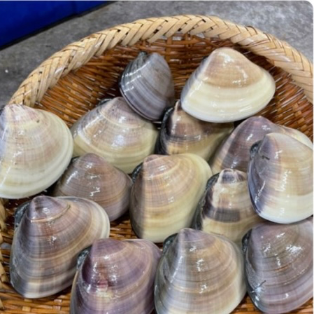 鹿島灘 かない水産