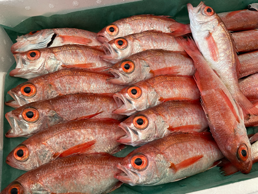 しまね新鮮丸ショップ 画像2