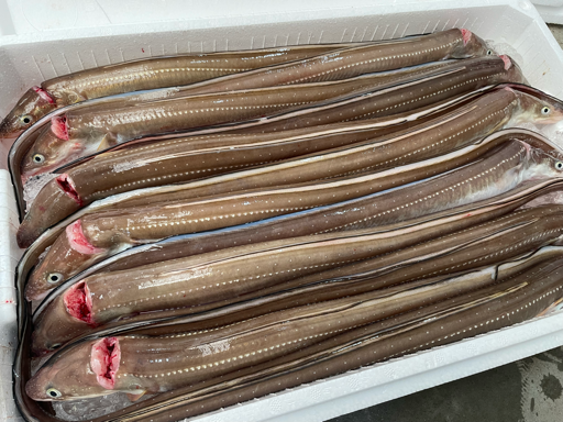 しまね新鮮丸ショップ 画像3