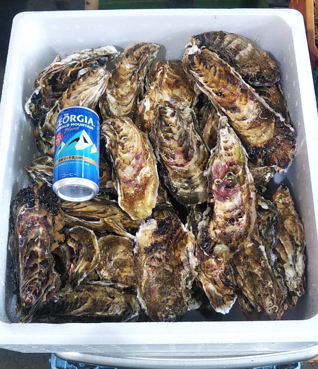 『旬』到来 訳あり殻付き牡蠣　生食用　5kg