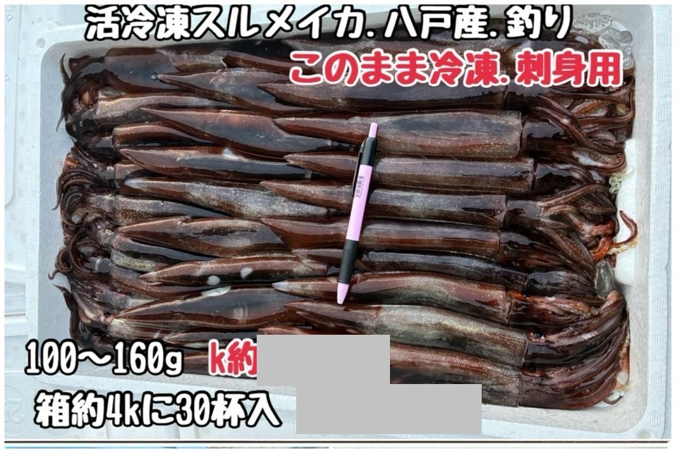 ②活冷凍スルメイカ・八戸産・釣り・刺身用