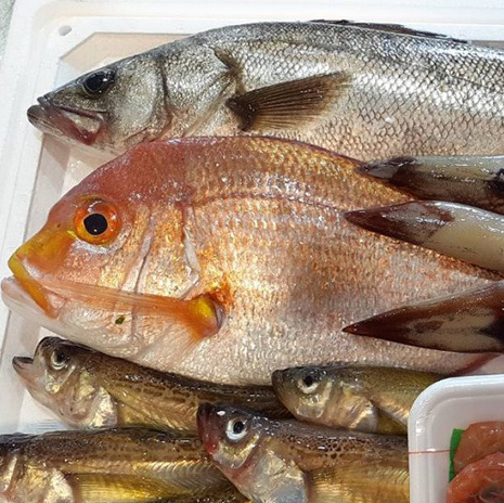 赤碕 かない水産