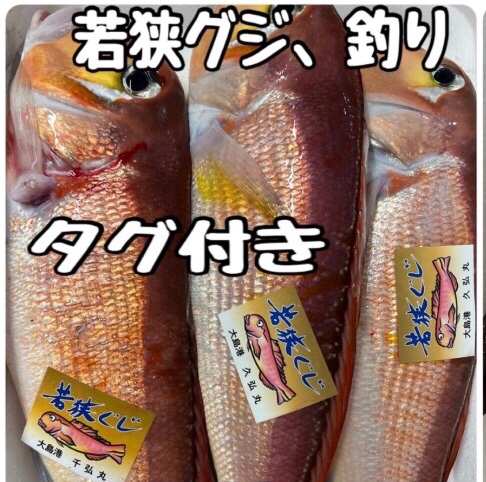 若狭かない丸