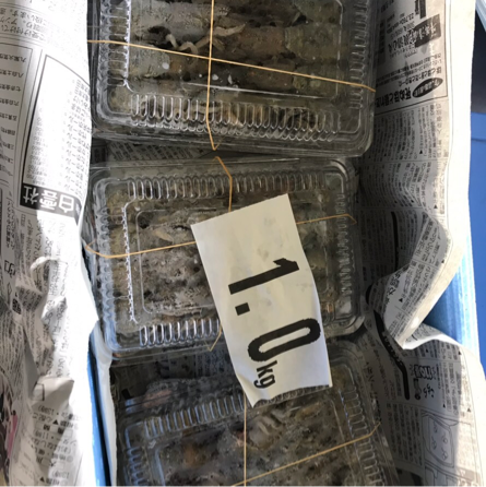 生産者アイコン