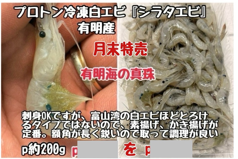 ③プロトン冷凍白エビ（シラタエビ）・有明湾産・ｐ約200ｇ
