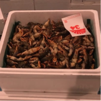 札幌 かない水産