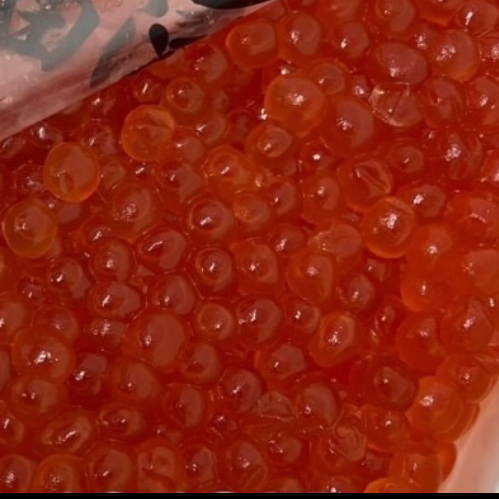 札幌 かない水産 紹介画像2