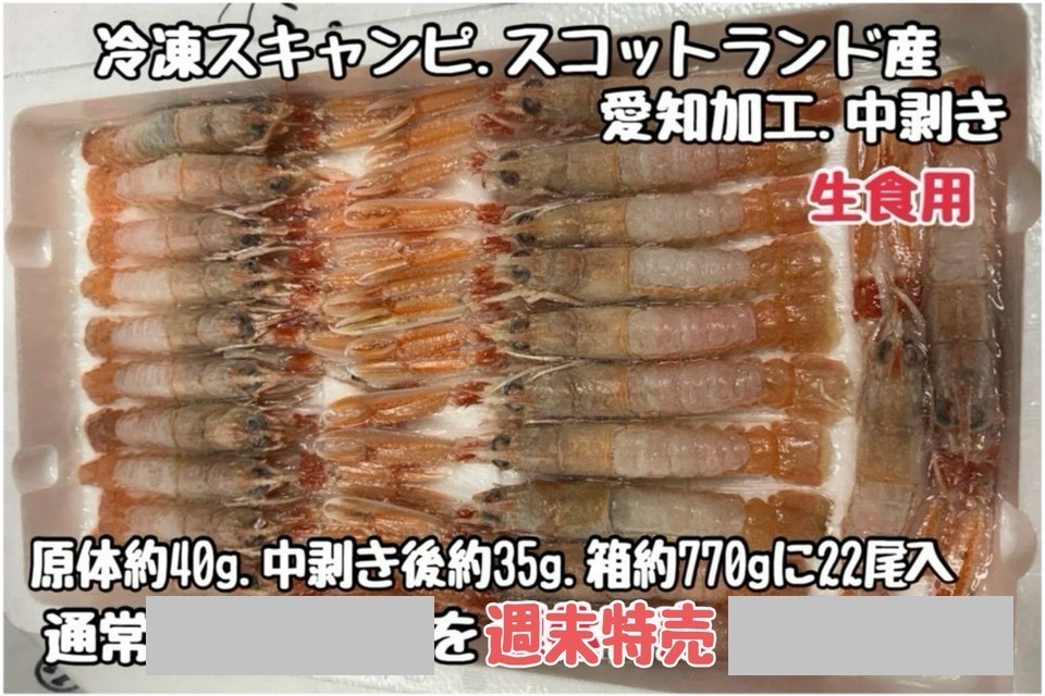 ⑤冷凍スキャンピ・中剥き・生食用・スコットランド産・愛知加工・原体約40ｇ・中剥