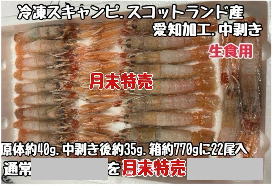 ④冷凍スキャンピ・中剥き・生食用・スコットランド産・愛知加工・原体約40ｇ・中剥