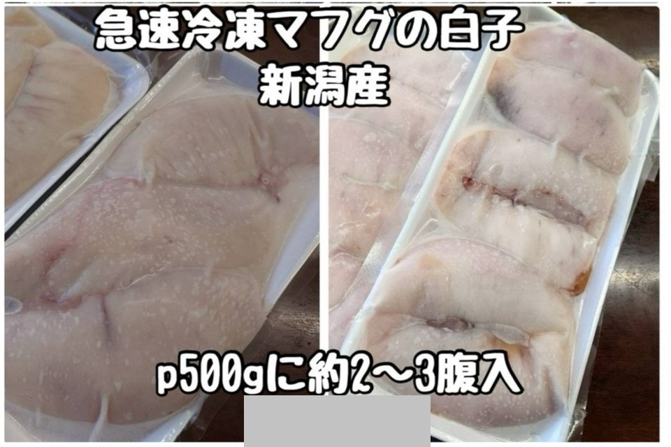 ③冷凍マフグの白子・新潟産・約2～3腹入