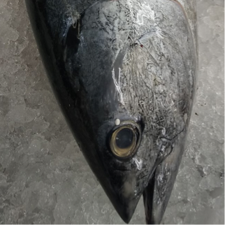 気仙沼 かない水産