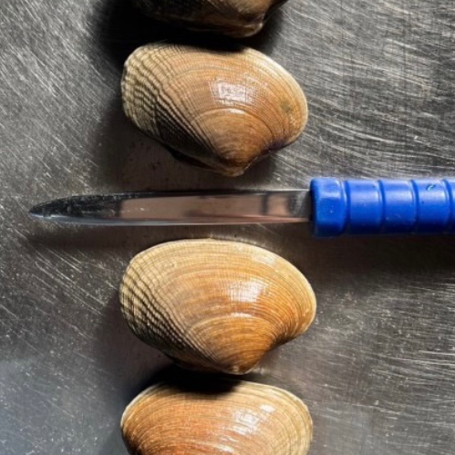 厚岸 かない漁業部 紹介画像2