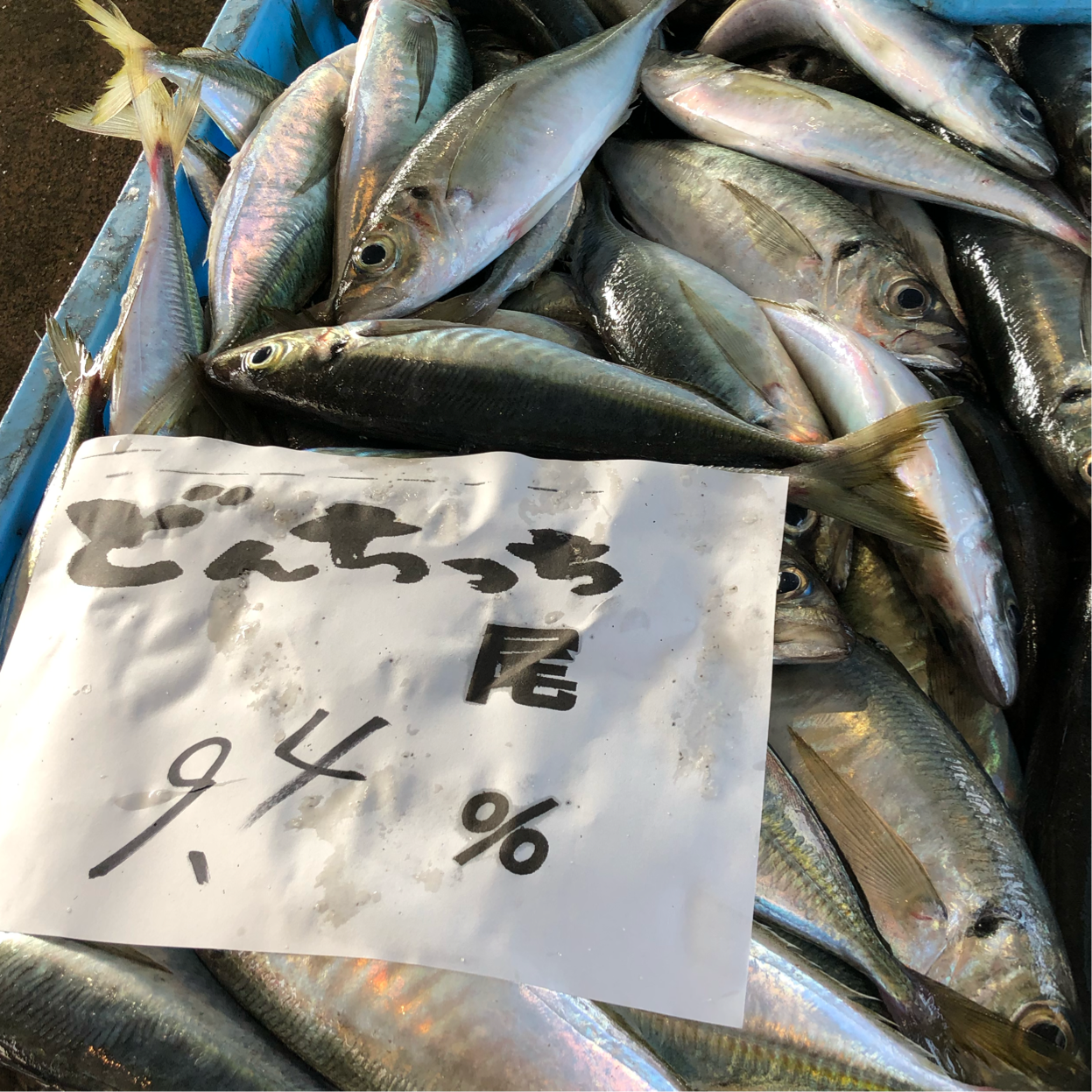 渡辺鮮魚店