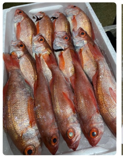 黒門 かない水産