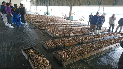 項明水産 画像1