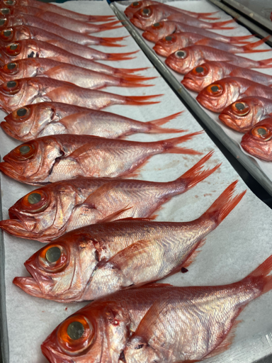 項明水産 画像5