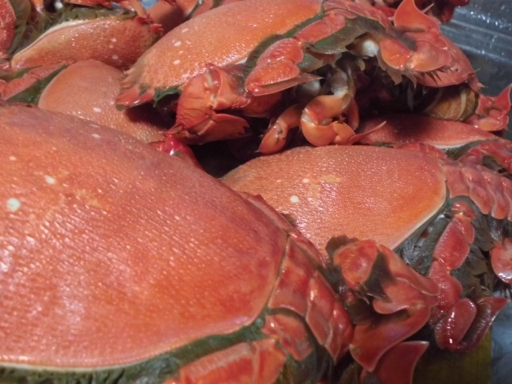 宮崎金井丸 紹介画像1