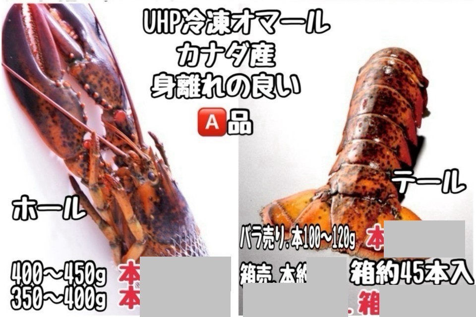 ①UHP冷凍オマール・カナダ・Ａ品・ホール 他3品