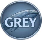 Gray whale