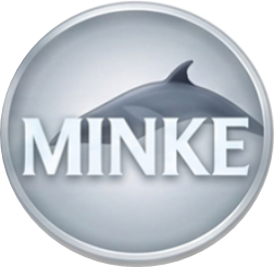 Minke whale