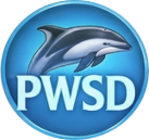 Pacific white-sided dolphin
