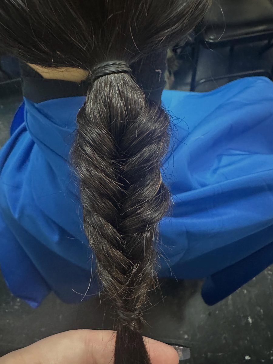 A long fishtail braid