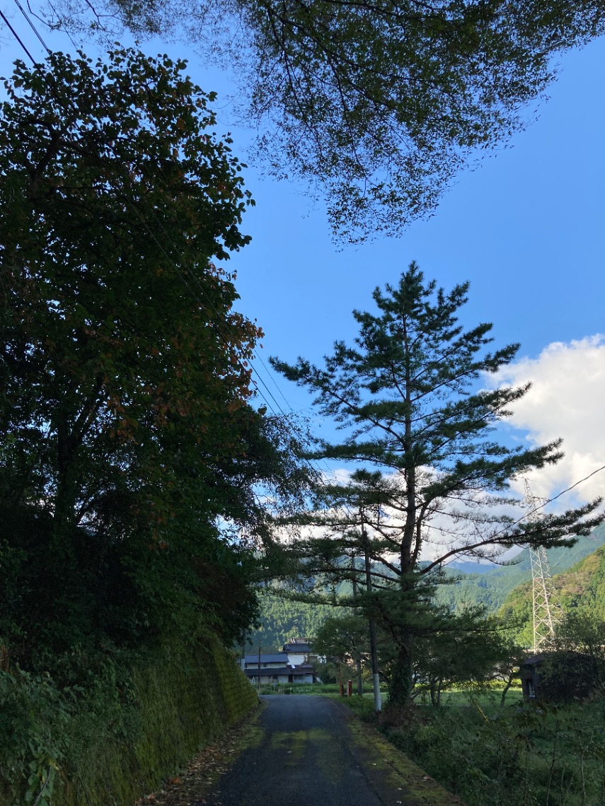 私の朝んぽコース