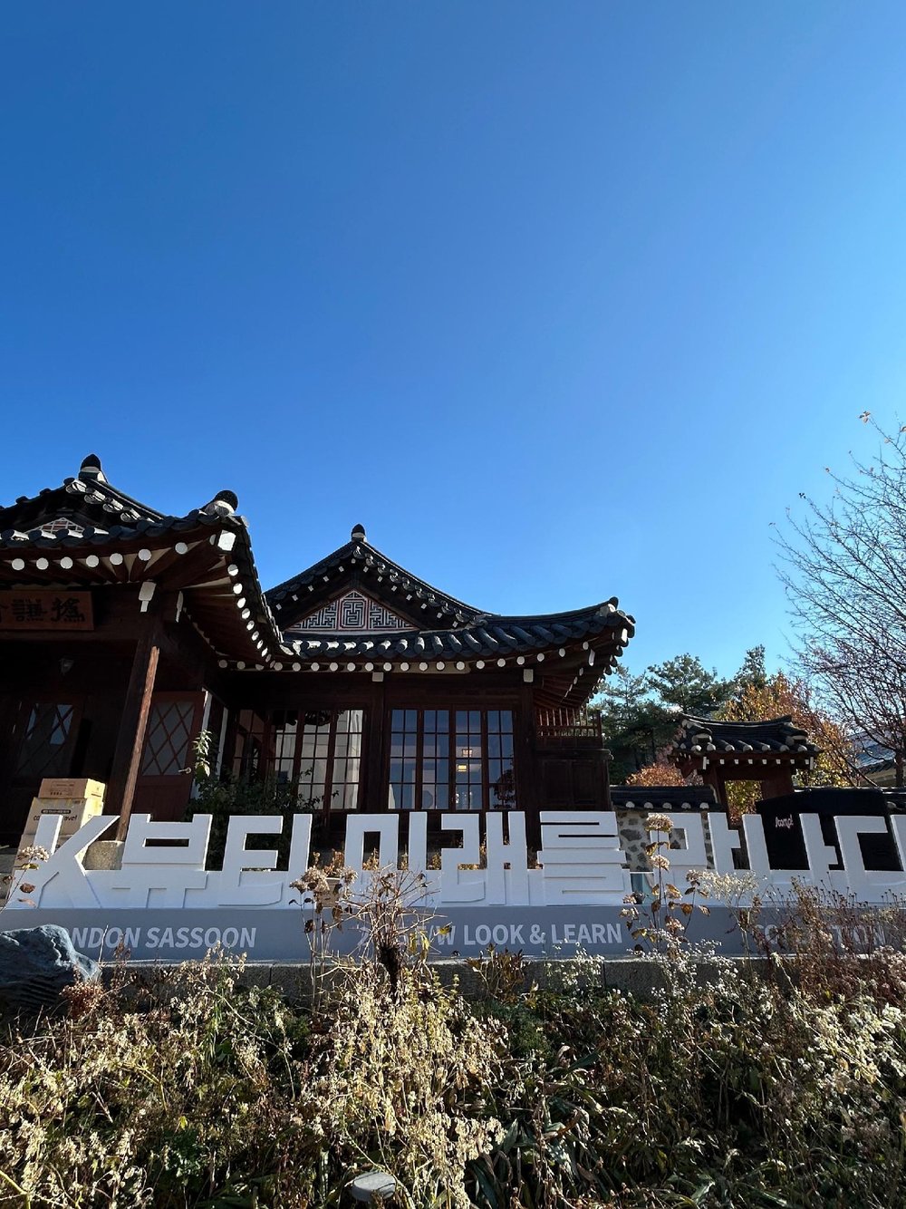 2025년 사순 F/W 한국 컬렉션