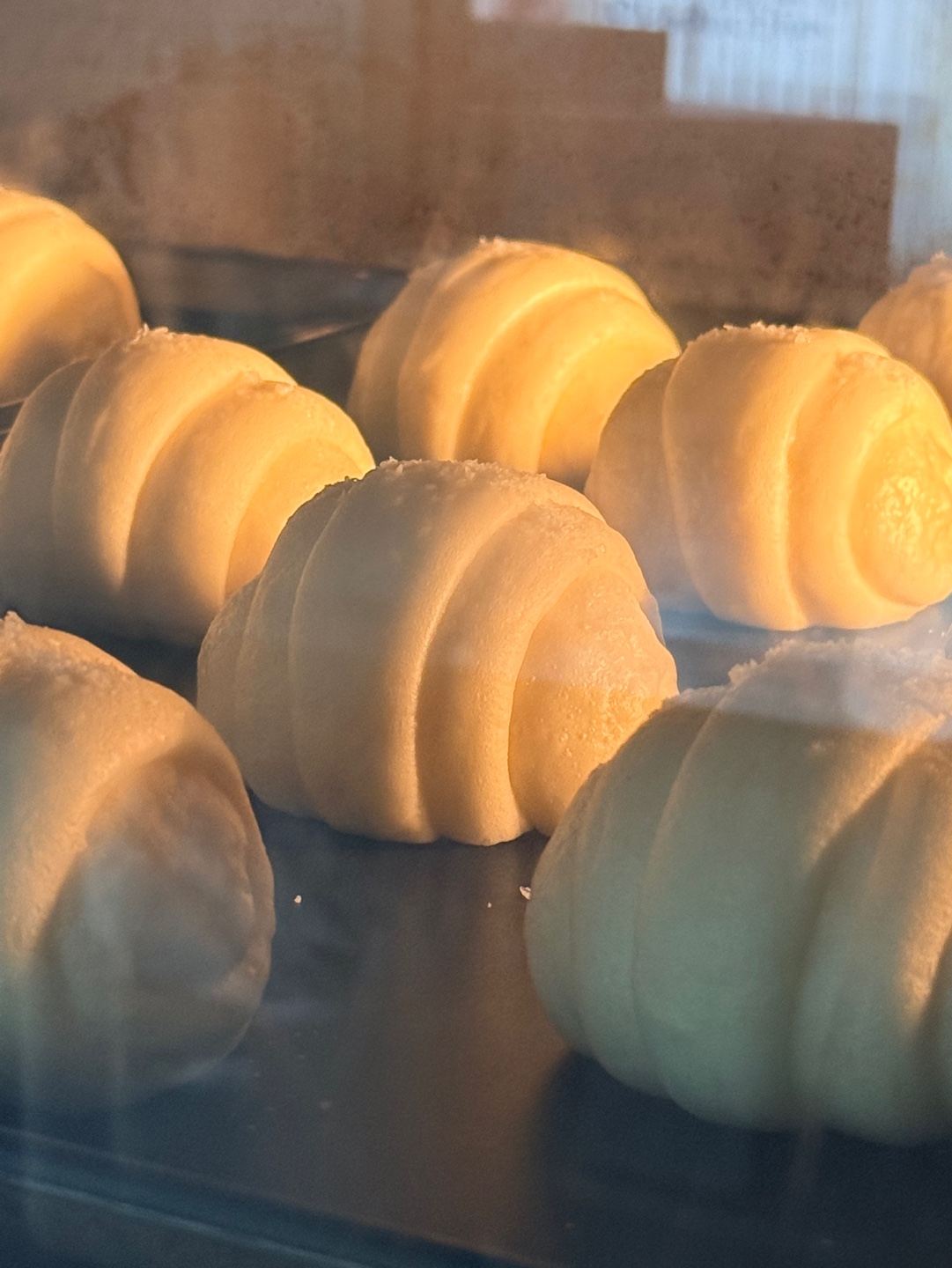 ソルトパン、今日のオススメは?