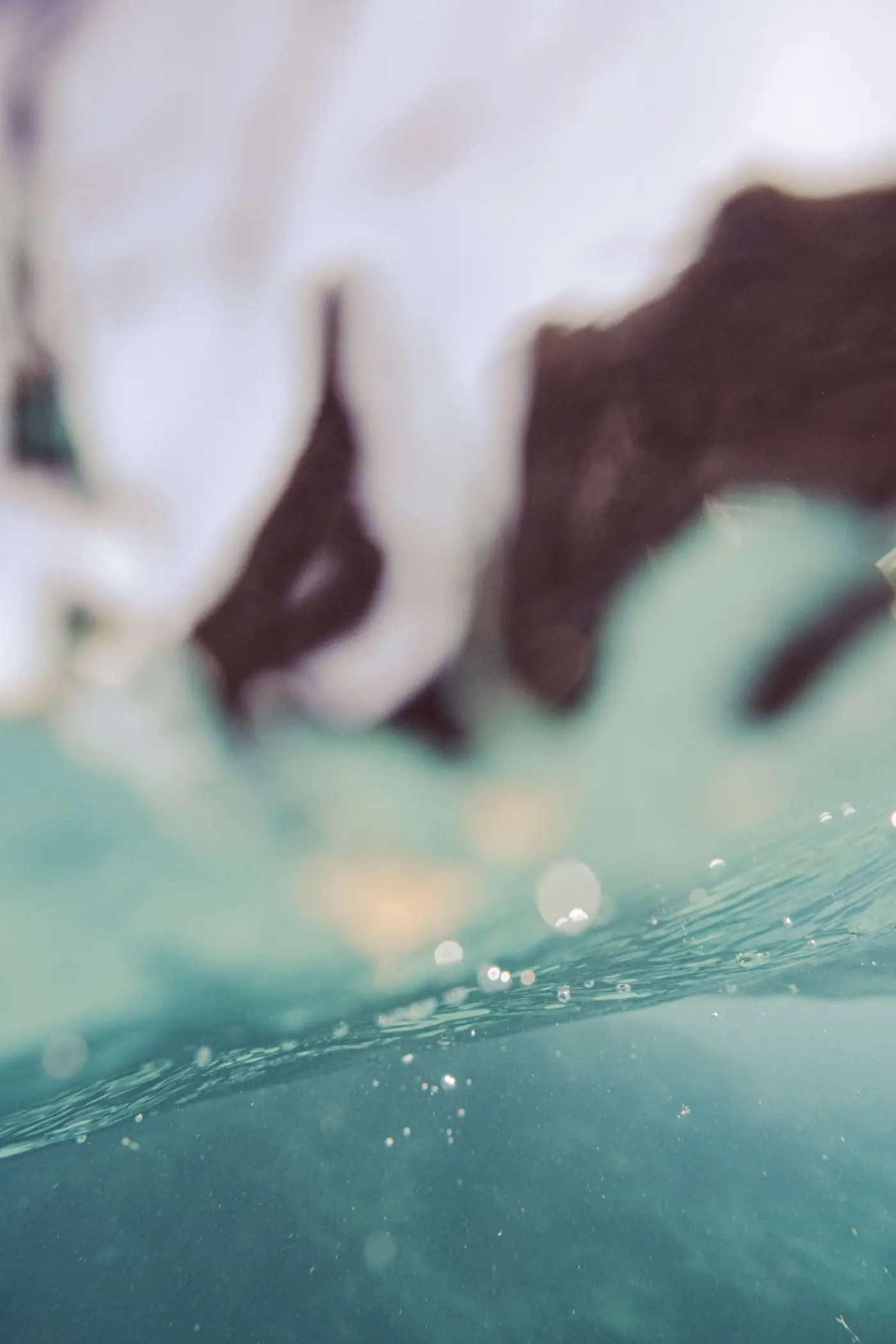 Tendencias de Marketing Digital en 2026