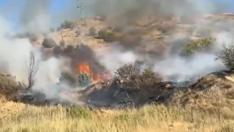 Yüksekova’daki “kuş cenneti”ne yangın: Nehil Sazlığı alevlere teslim oldu