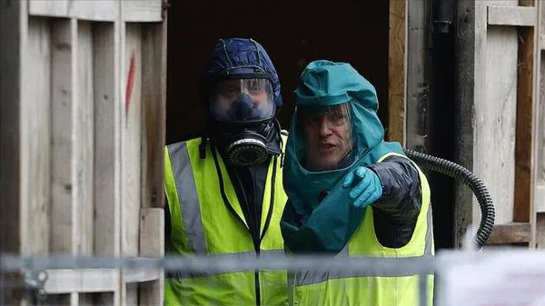 Almanya'da Kuş Gribi Alarmı: Ülke Genelinde On Binlerce Hayvan İtlaf Edildi