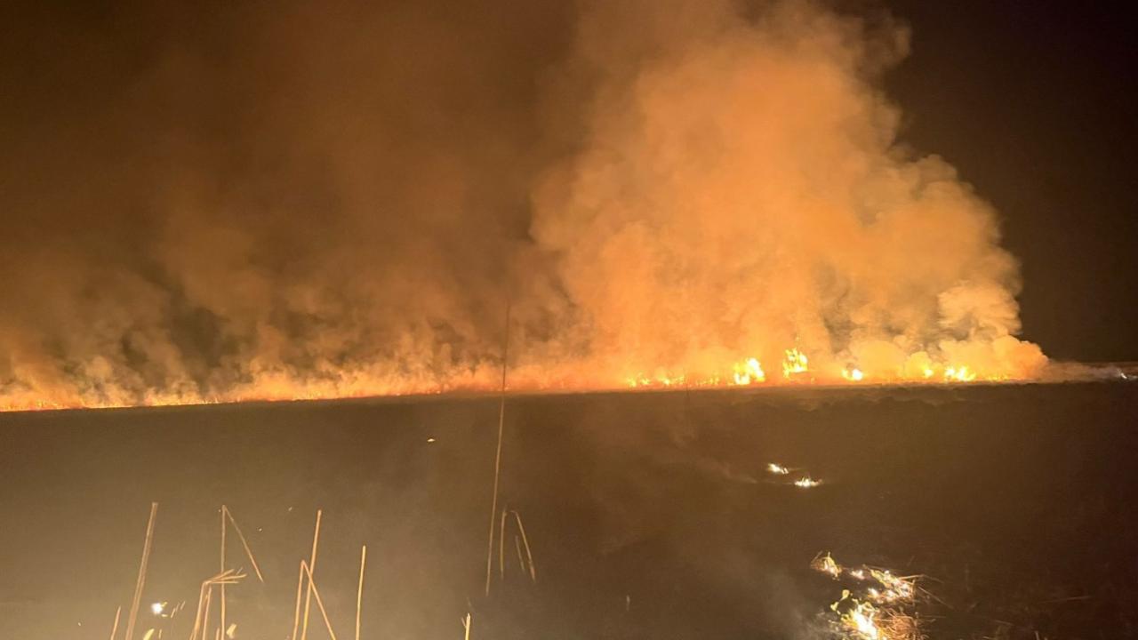 Nehil Sazlığı’nda Yangın Alarmı: “Kuş Cenneti” Alevlerle Sarsıldı