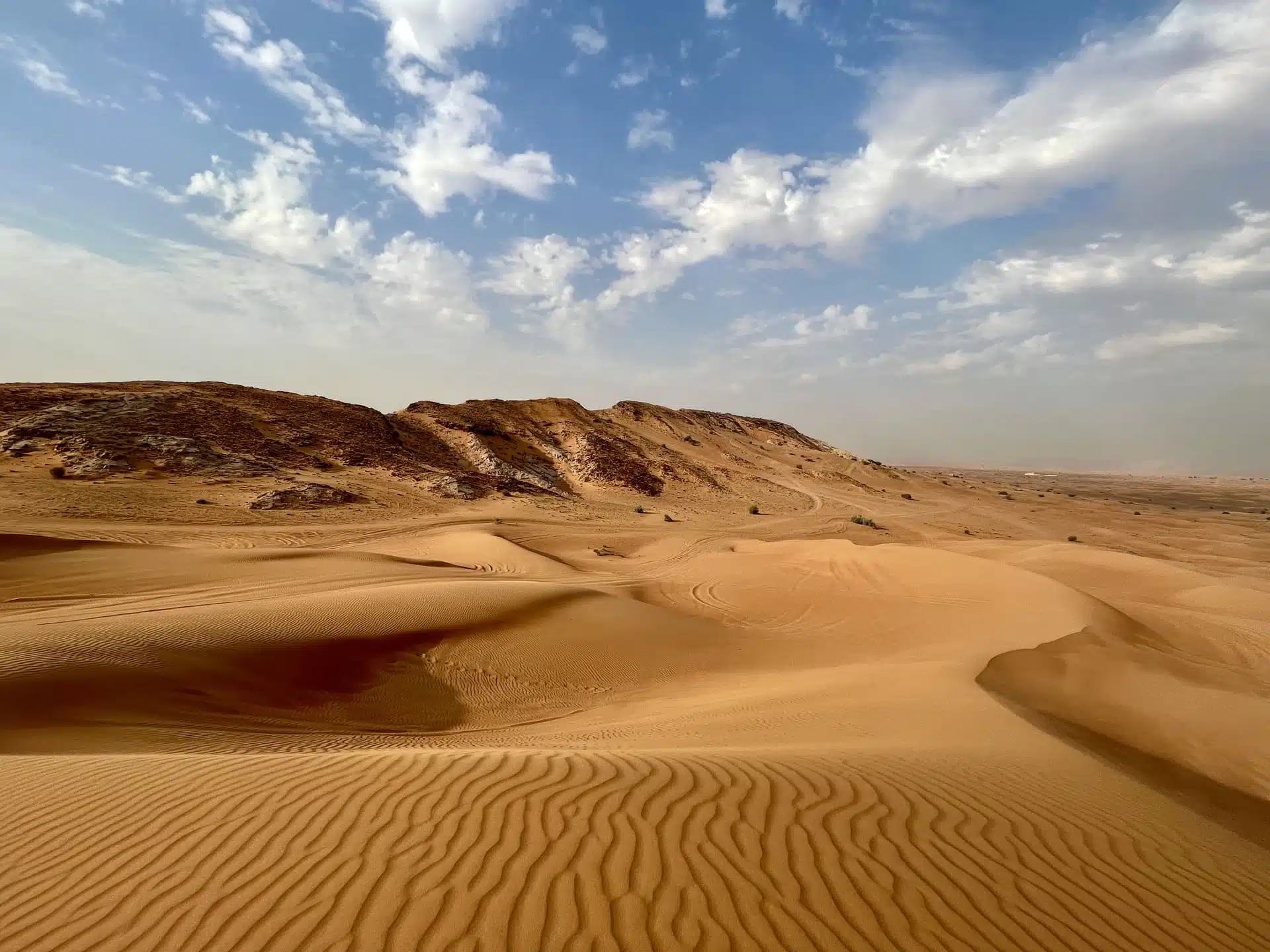 Dubai Çölünde Kripto Milyonerinin ve Eşinin Parçalanmış Cesetleri Bulundu