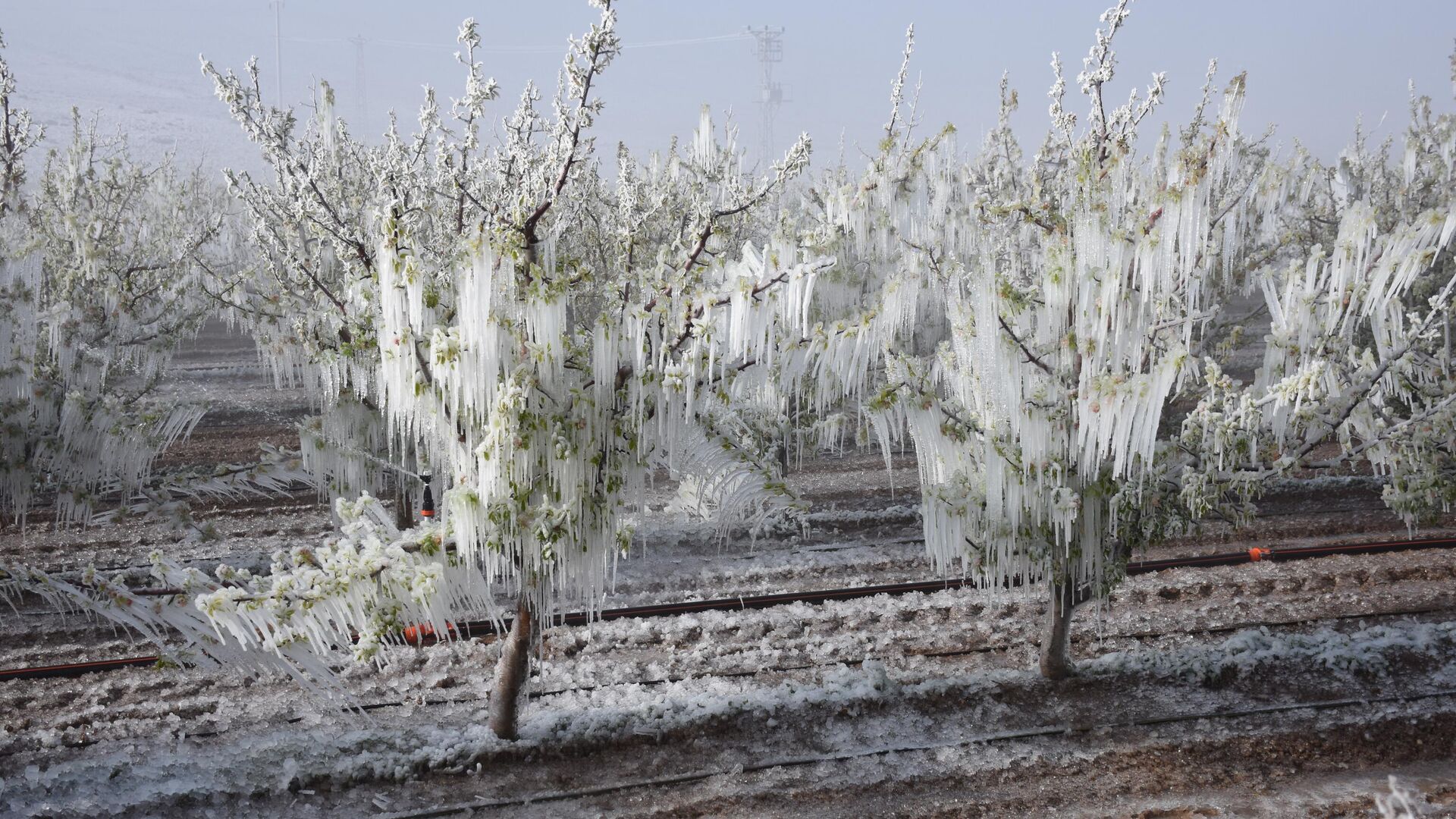 Meteorolojiden Çifte Uyarı: Kuvvetli Sağanak ve Buzlanma Geliyor