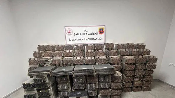Ahır Görünümlü Kaçak Kripto Para Tesisi Şanlıurfa’da Yakalandı
