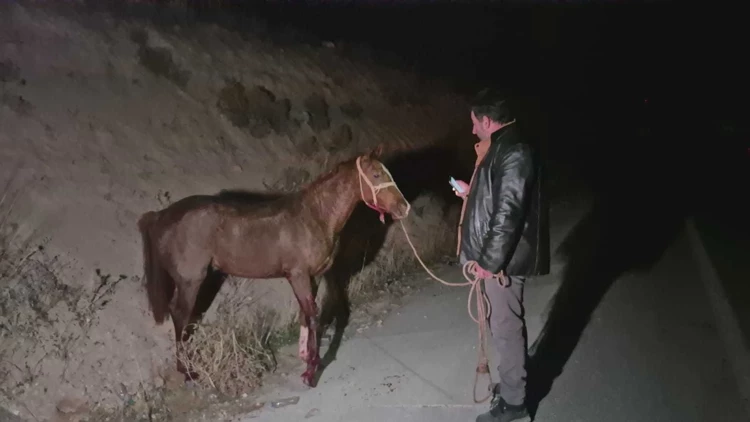 Malatya’da Milyonluk Yarış Tayları Kaçtı