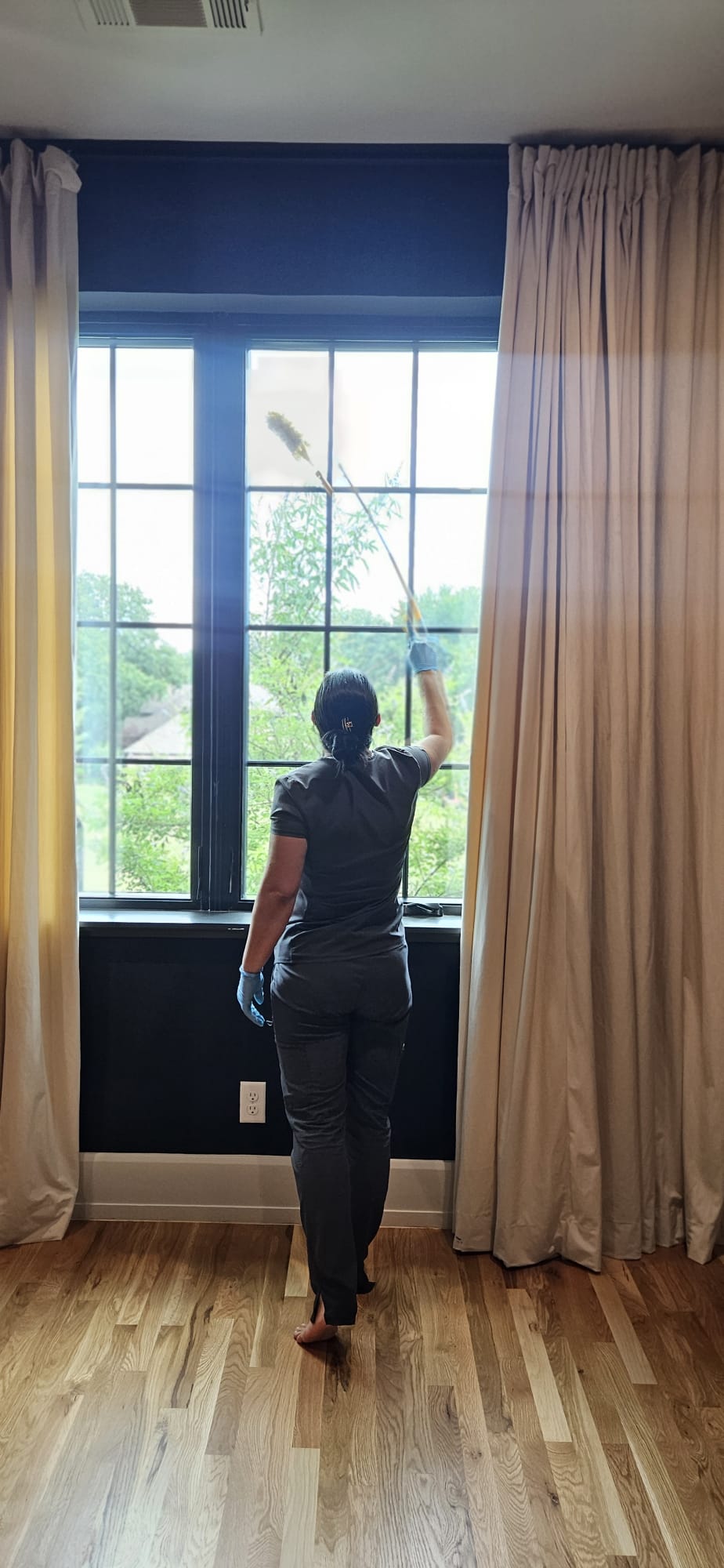 Window Cleaning