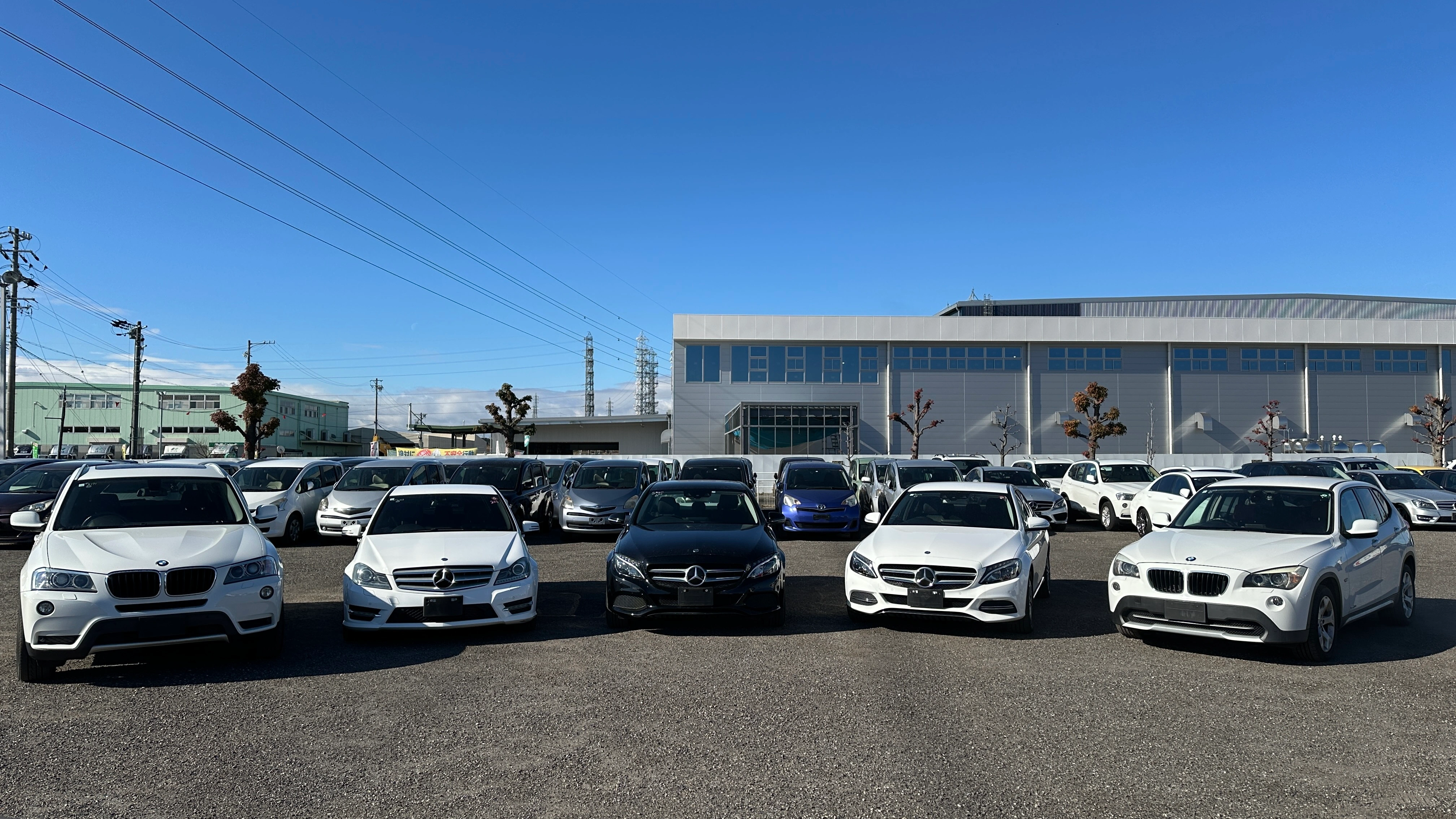 Premium Vehicle Selection at Real Motor Japan
