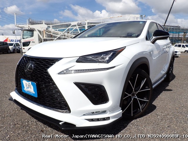 2019 LEXUS NX