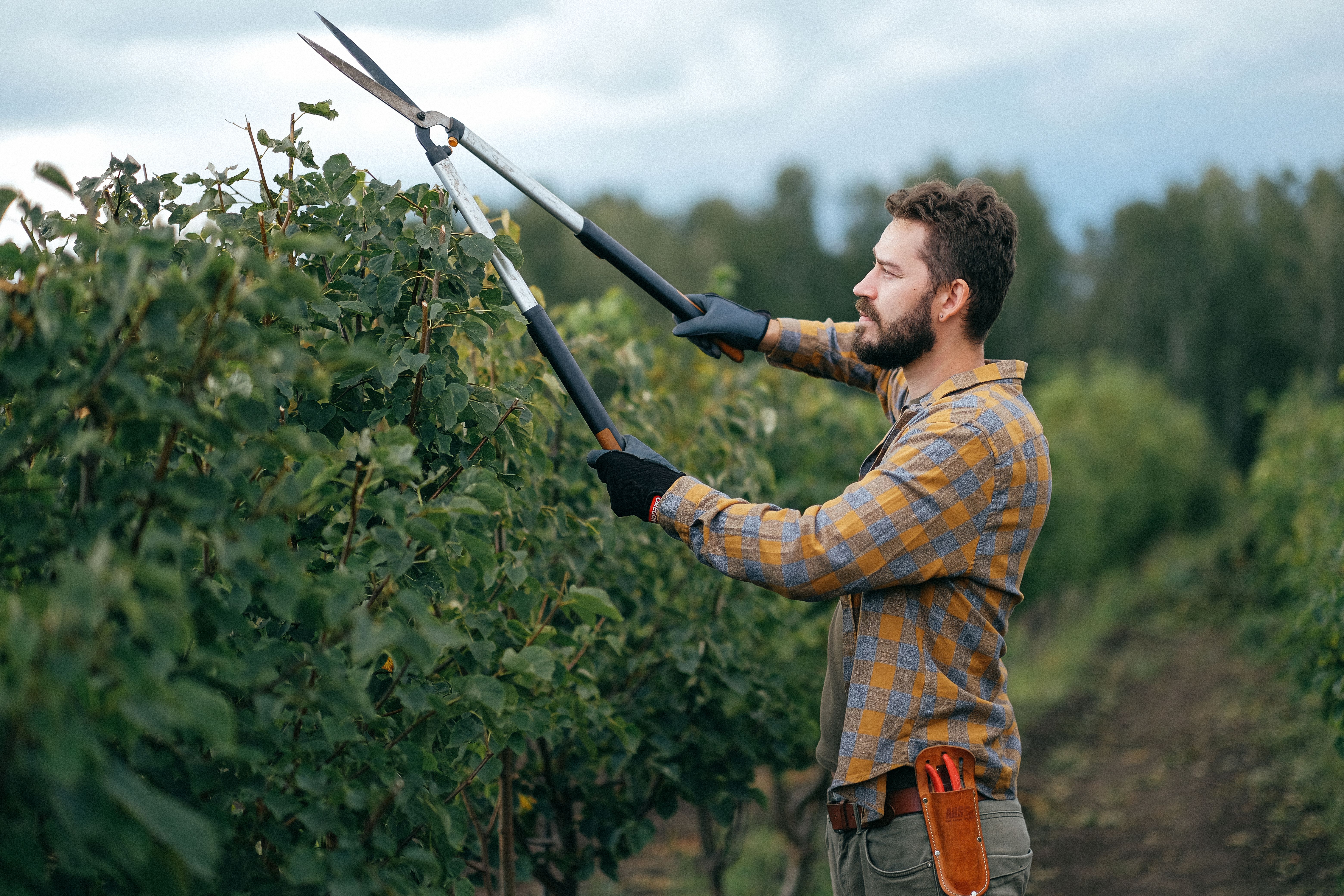 AI & Automation Solutions for Smoother Cash Flow in Landscaping Businesses