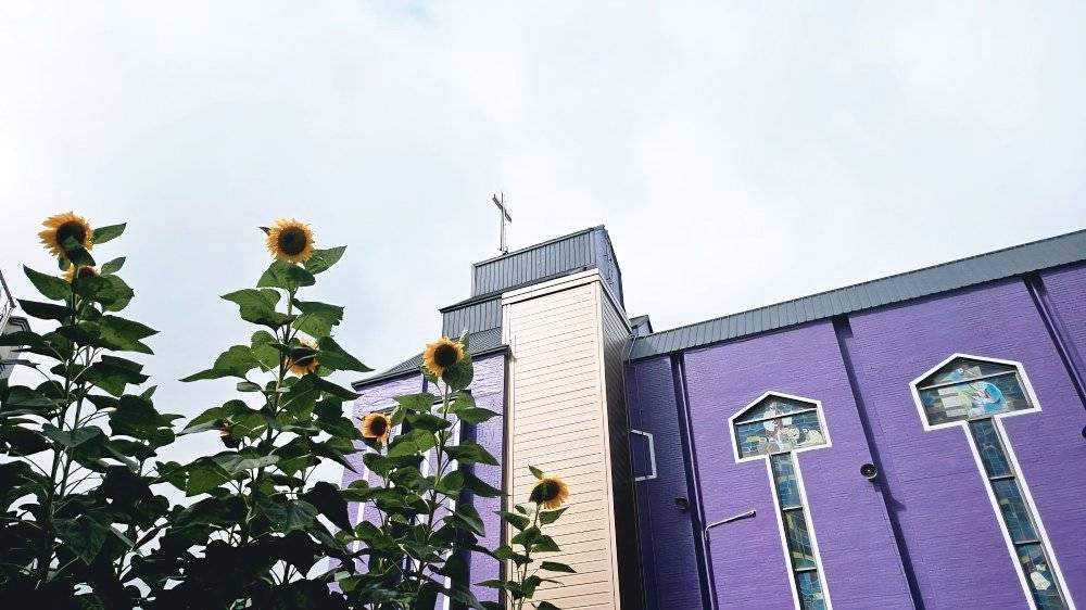 꽃이 피기까지 대표 이미지