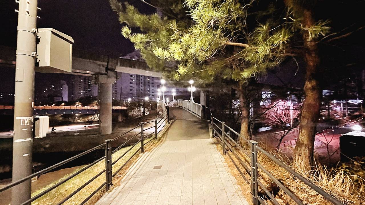 다시 걷다 대표 이미지